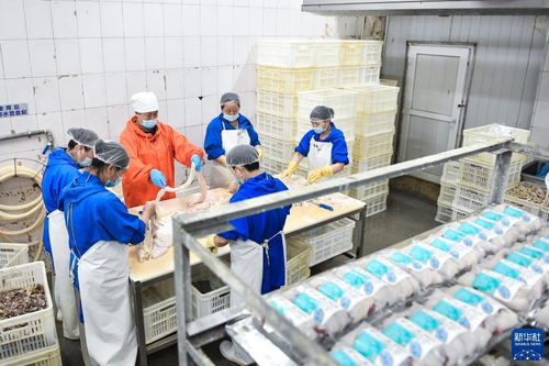 崔玉梅 從農家女到勞動模范的紡織服裝與日用品銷售之路