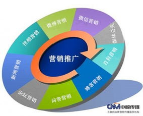 全鏈路網(wǎng)絡(luò)營(yíng)銷(xiāo) 從策劃到執(zhí)行的整合之道